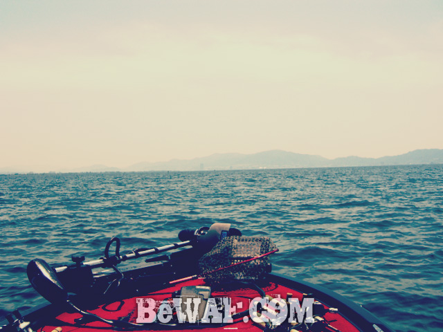 biwako bassfishing guide chouka 2015 biwako 4
