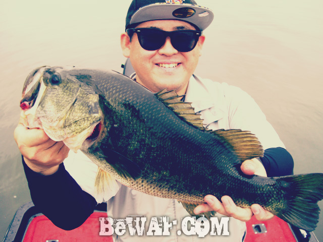 biwako bass fishing guide chouka 77