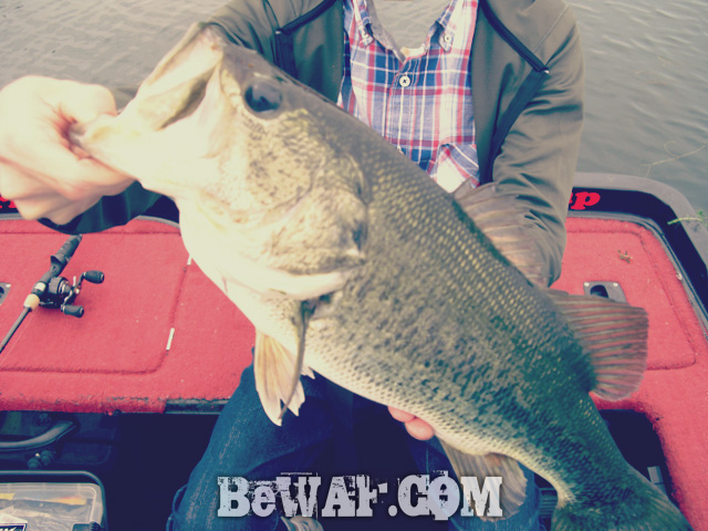 biwako bass fishingu guide chouka 10