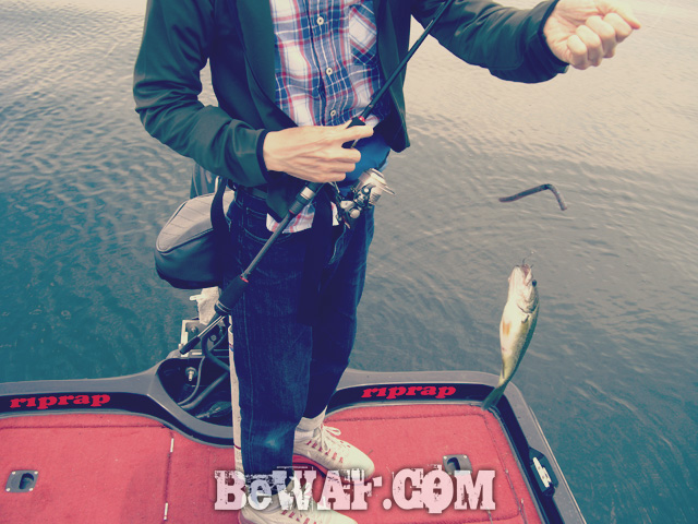 biwako bass fishingu guide chouka 12