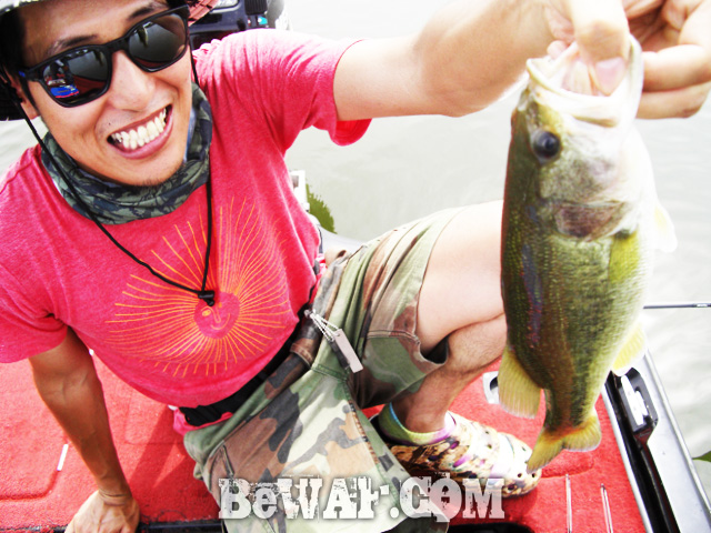 biwako bassfishig guide service 2015 20