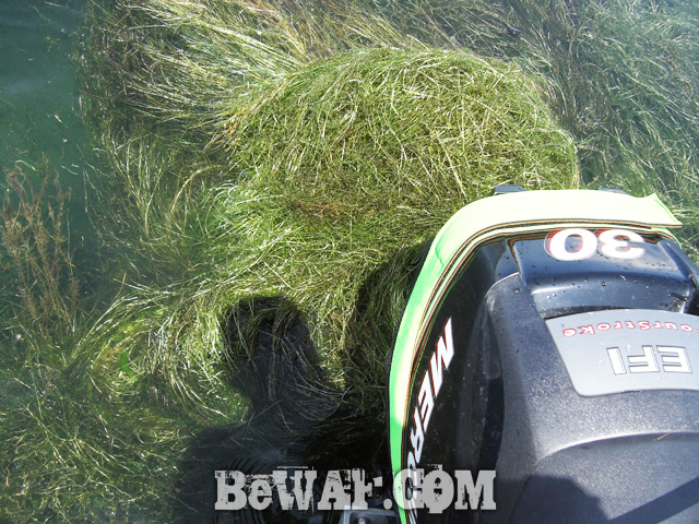 biwako-bassfishing-guide-blog-2015-chouka-27