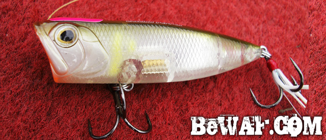 biwako bassfishing guide blog 2015 chouka 7