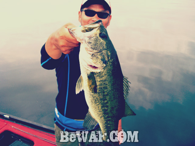 biwako bassfishing guide blog 2015 chouka 8