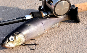 ヴェイロン300 (ジャッカル） 2