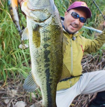 新・ビッグスイムベイト(秦拓馬) 2