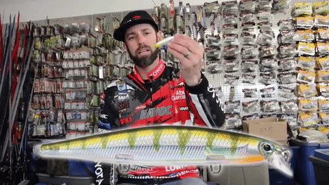 mike iaconelli