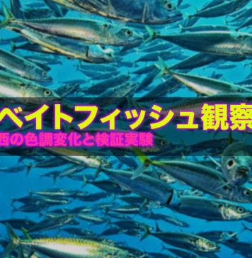 ベイトフィッシュの観察 ~西の湖 オイカワ編~ ベイトフィッシュの観察 ~西の湖 オイカワ編~ 9