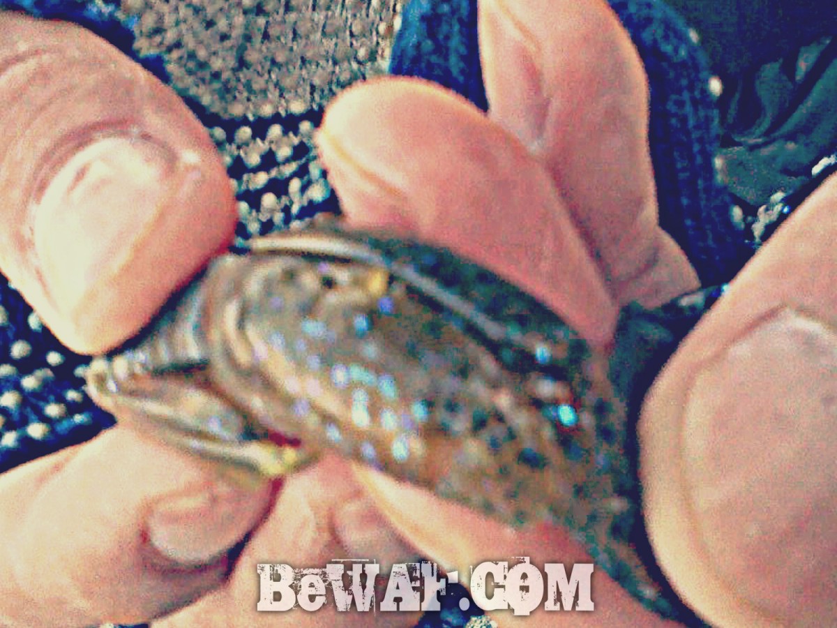 setagwa chouka black bass big bait-2