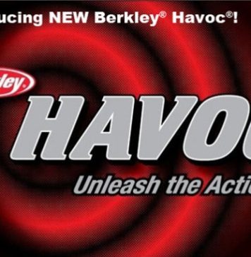 Berkley - Havoc Sick Fish (ビワエフストア) 2