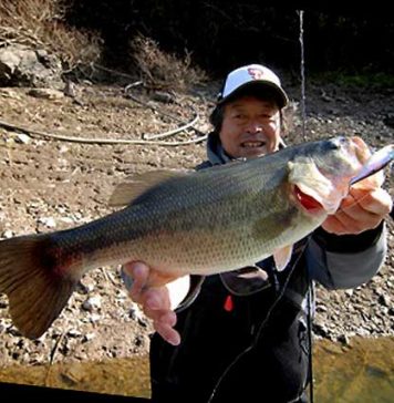 大漁生活 Vol.94 “チャブル実釣編” (加藤誠二) 大漁生活 Vol.94 "チャブル実釣編" (加藤誠二) 3