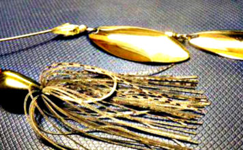 DSTYLEからのプロトスピナーベイトの写真が公開される。 