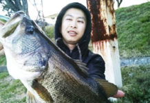 オカッパリ釣果：ディープクランクで46cm!! (琵琶湖) 1