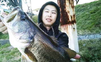 オカッパリ釣果：ディープクランクで46cm!! (琵琶湖) 1