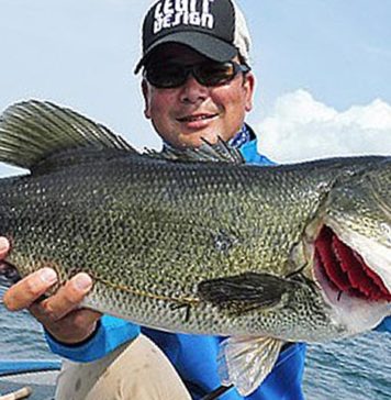 4月の琵琶湖攻略法!! (平村尚也)