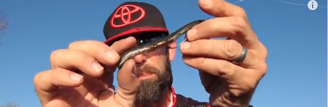 Mike Iaconelli french fry-1