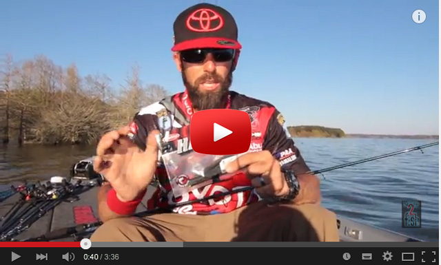 Mike Iaconelli french fry