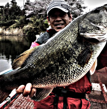 55.5cm!! デカバス現れる!! (亀山ダム) 