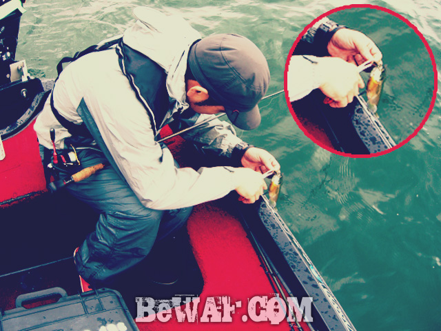 biwako bass fishing guide 2015 chouka 20