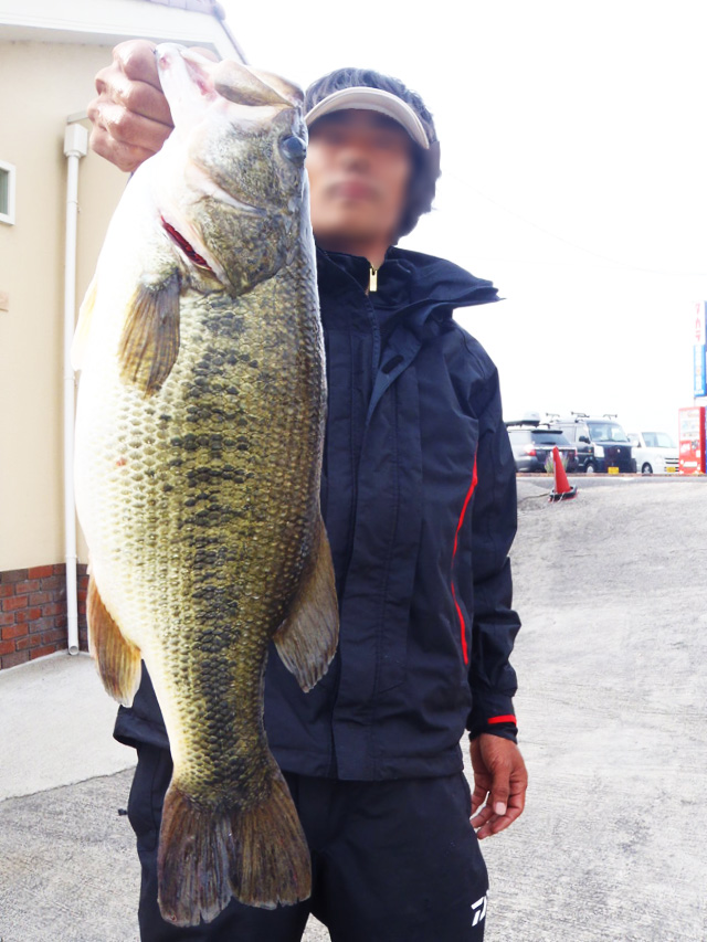 nishinoko bass fishing guide 2015 chouka 3