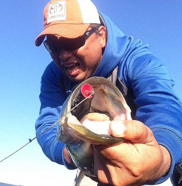 DフロッグとDポッパーの使い方!! (宮崎友輔) 3