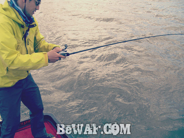 biwa bass fishing guide service 12