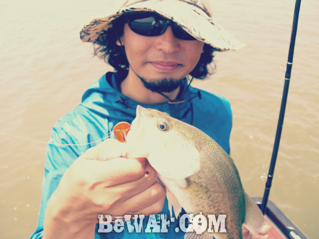 biwako bass turi guide chouka 6