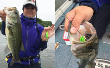 フロッグ釣果 from 利根川 (麻生雅之) 