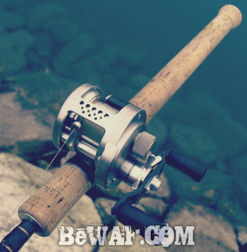 瀬田川へ (2015年 6月19日) 10