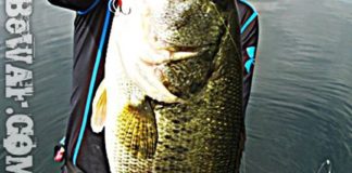 ボコボコ!! トップで大型釣れてます!! 56cm他 (リップラップガイド) 