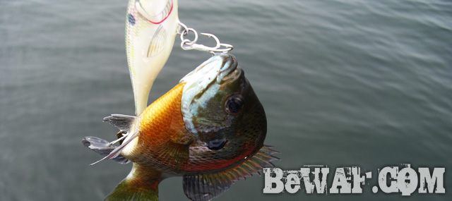 biwako bass fishingu guide chouka 6