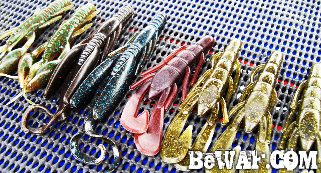 biwako bassfishig guide service 2015 22