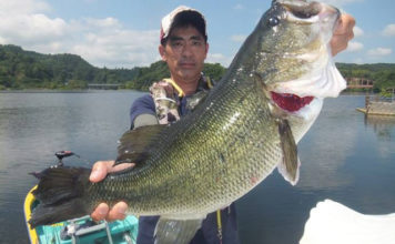 60.5cm!! (3,900g) バス釣果!! (亀山ダム) 