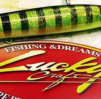 ラッキークラフト・ガンニッシュ (ICAST 2015) 1