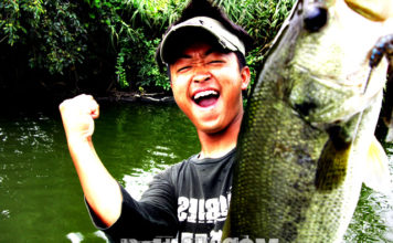 西の湖へ (7月28日) 9