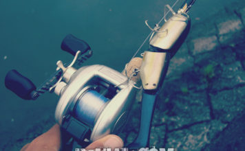 瀬田川へ (2015年 7月1日) 3