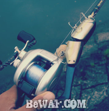 瀬田川へ (2015年 7月1日) 瀬田川へ (2015年 7月1日) 3