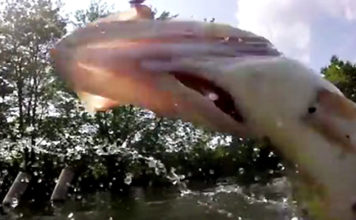 GoPro映像コンテストの結果発表!! ~6月賞~ (BASSMASTER)