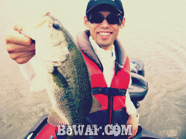 biwako bass fishig guide service 12