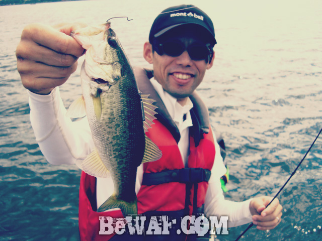 biwako bass fishig guide service 9