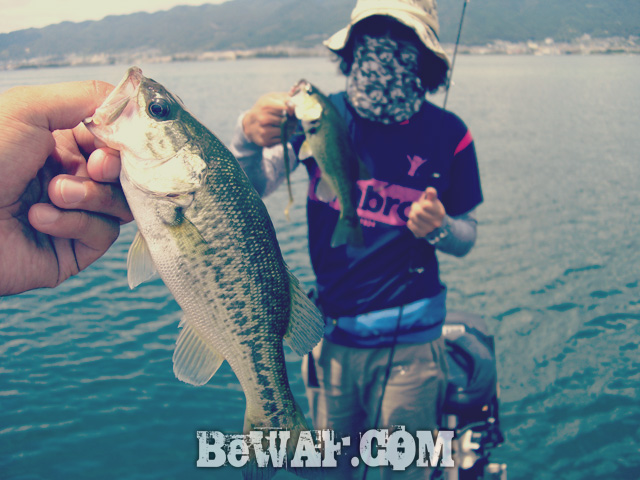 biwako bass fishing guide gekiyasu rental 22