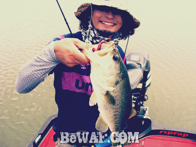 biwako bass fishing guide gekiyasu rental 30