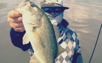 琵琶湖バスフィッシングガイドリポート ~加納様 DAY 3~ 42cm 11