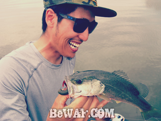 biwako black bass jackall deps guide 22