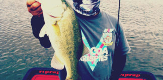 琵琶湖バスフィッシングガイドリポート ~加納様 DAY 2~ 44cm 15