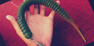 琵琶湖バスフィッシングガイドリポート ~立岡様~ 00cm 2