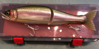 ジョインテッドクロー尺ワンが入荷!! (セブンパームス) 