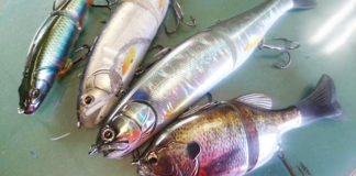 初秋のビッグベイトの使い方!! (三原直之) 2