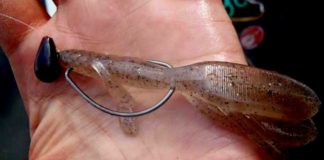 ビフテキのキモを紹介!! ~亀山湖~ (馬場孝介) 5