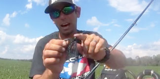 バスマスターエリートパターン(Chesapeake Bay戦) (マイクアイコネリ) 8